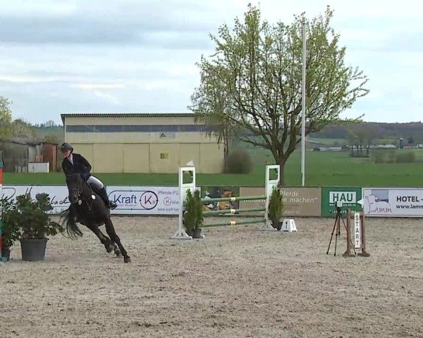 Reitturnier Rot am See- Musdorf 2025