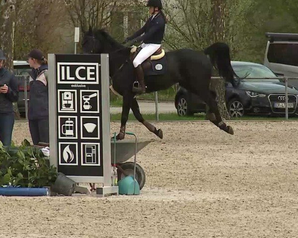 Reitturnier Rot am See- Musdorf 2025