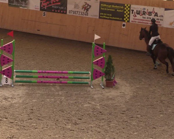 Reitturnier Fehraltorf 2025
