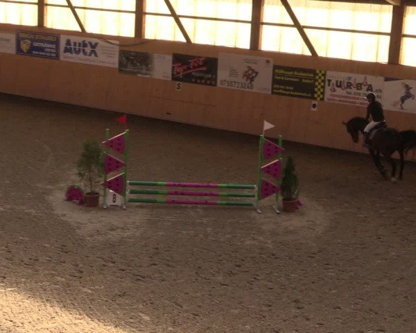 Reitturnier Fehraltorf 2025