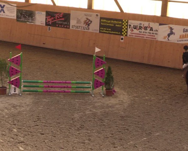 Reitturnier Fehraltorf 2025