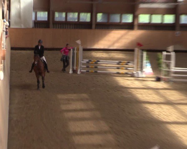 Reitturnier Fehraltorf 2025