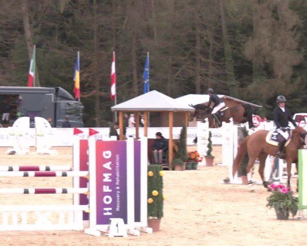 Reitturnier Ranshofen - Braunau am Inn 2025
