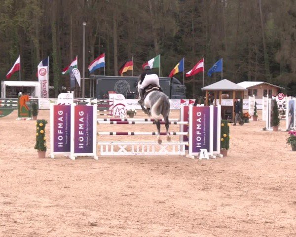 Reitturnier Ranshofen - Braunau am Inn 2025