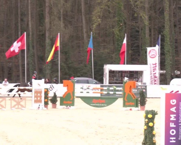 Reitturnier Ranshofen - Braunau am Inn 2025