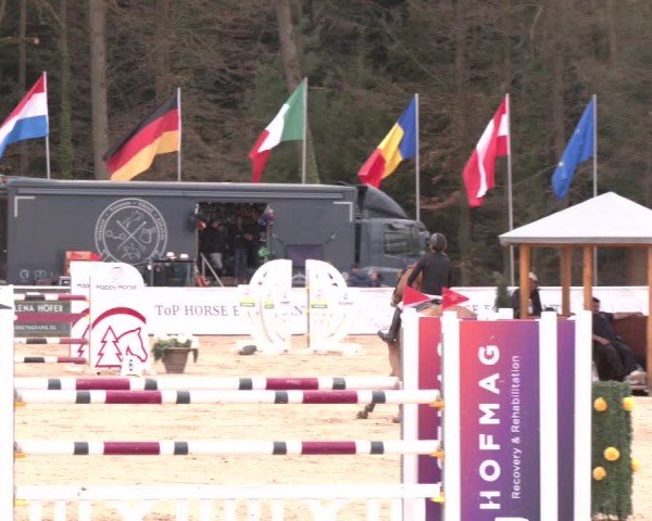 Reitturnier Ranshofen - Braunau am Inn 2025
