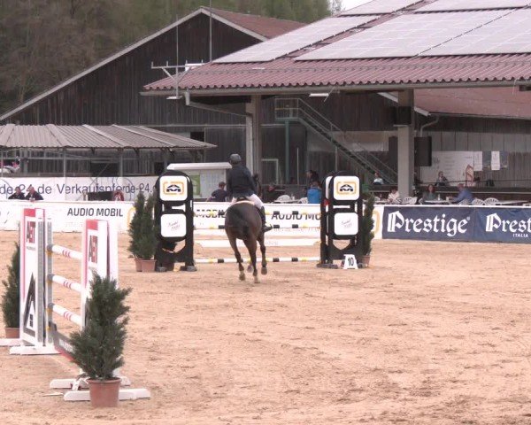 Reitturnier Ranshofen - Braunau am Inn 2025