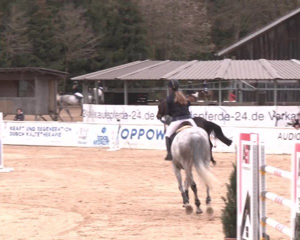 Reitturnier Ranshofen - Braunau am Inn 2025