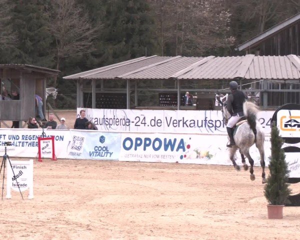 Reitturnier Ranshofen - Braunau am Inn 2025