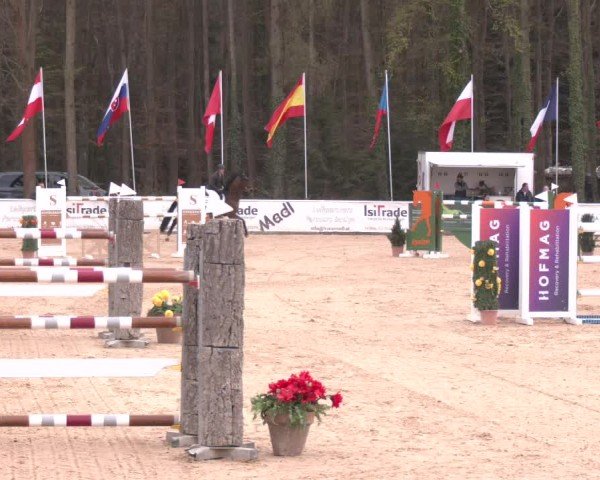 Reitturnier Ranshofen - Braunau am Inn 2025