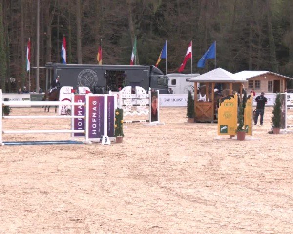 Reitturnier Ranshofen - Braunau am Inn 2025