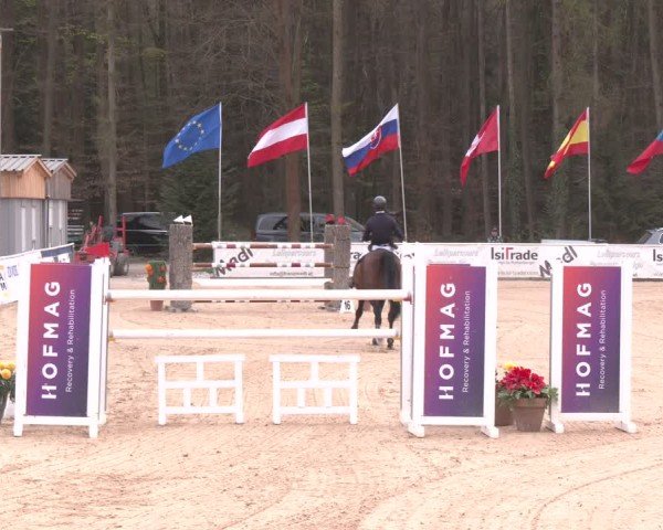 Reitturnier Ranshofen - Braunau am Inn 2025