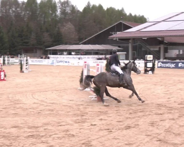 Reitturnier Ranshofen - Braunau am Inn 2025