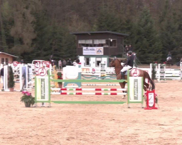 Reitturnier Ranshofen - Braunau am Inn 2025