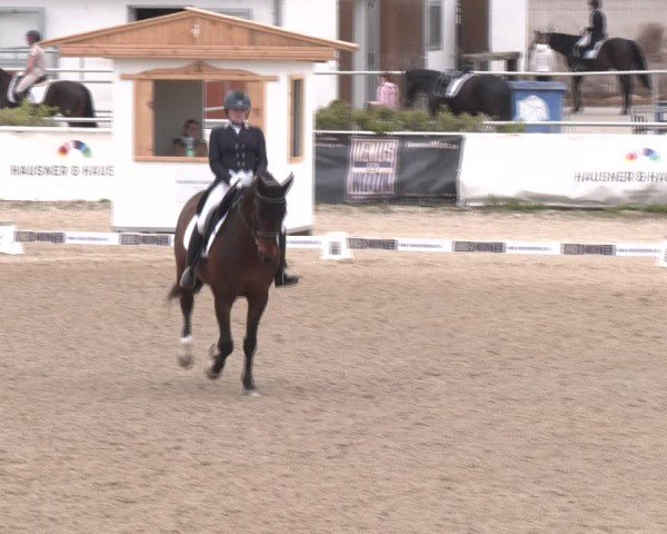 Reitturnier Margarethen am Moos 2025