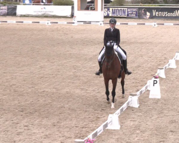 Reitturnier Margarethen am Moos 2025