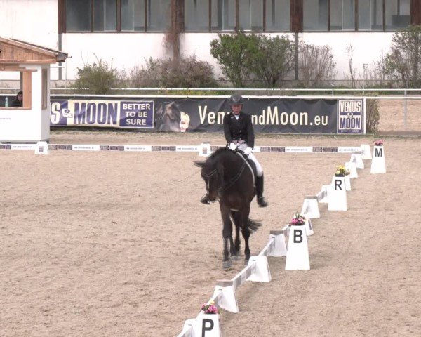 Reitturnier Margarethen am Moos 2025