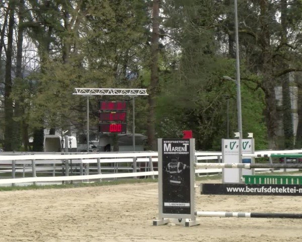 Reitturnier Bregenz 2025