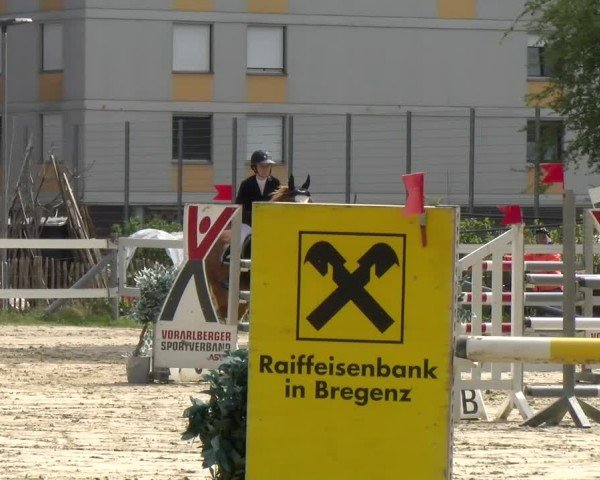 Reitturnier Bregenz 2025