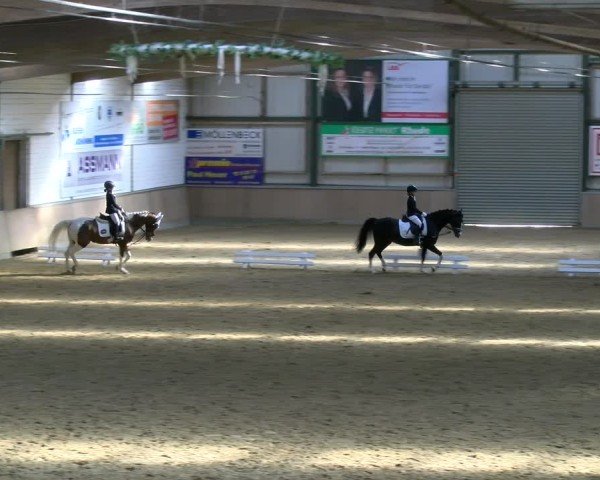 Reitturnier Rhede 2025