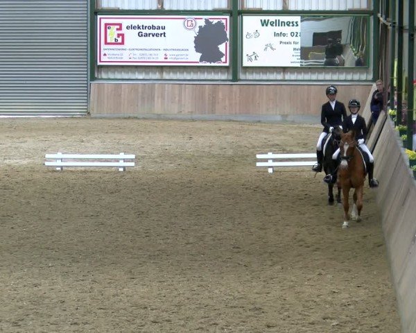 Reitturnier Rhede 2025