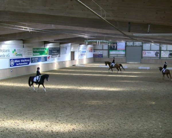Reitturnier Rhede 2025