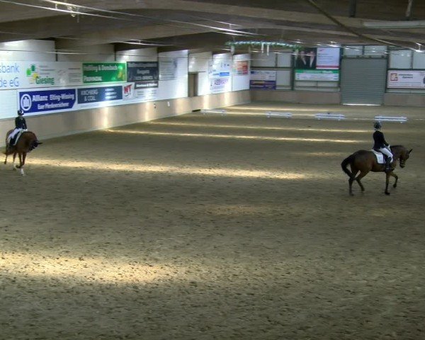 Reitturnier Rhede 2025