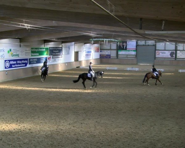 Reitturnier Rhede 2025