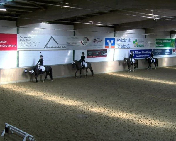 Reitturnier Rhede 2025
