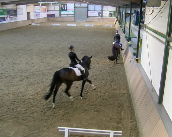 Reitturnier Rhede 2025