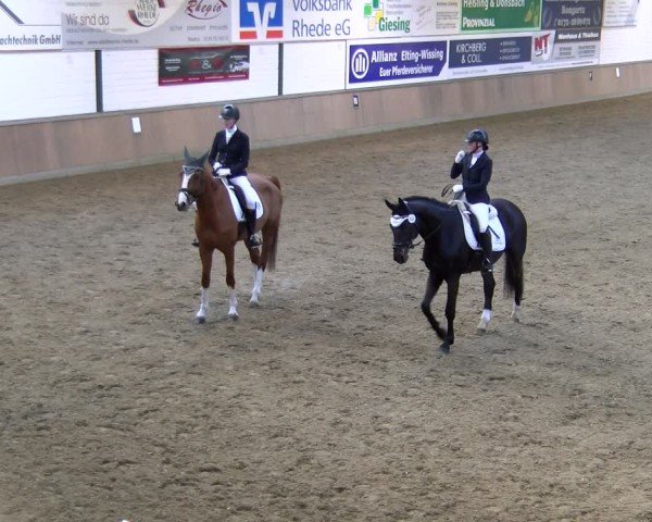 Reitturnier Rhede 2025