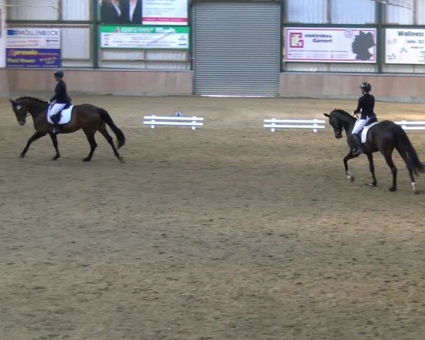 Reitturnier Rhede 2025