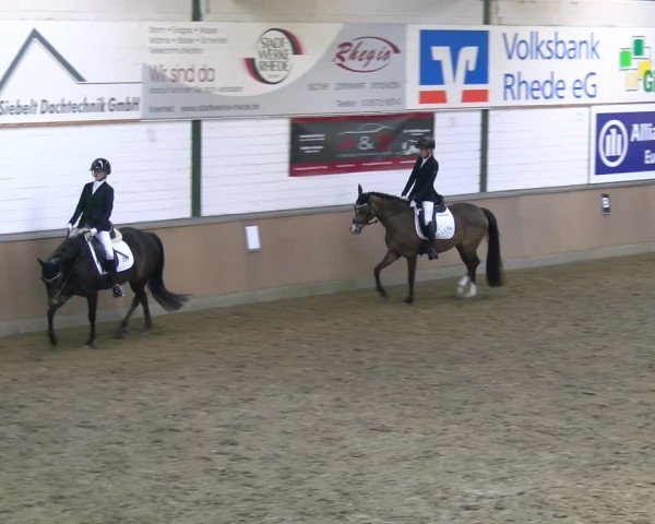 Reitturnier Rhede 2025