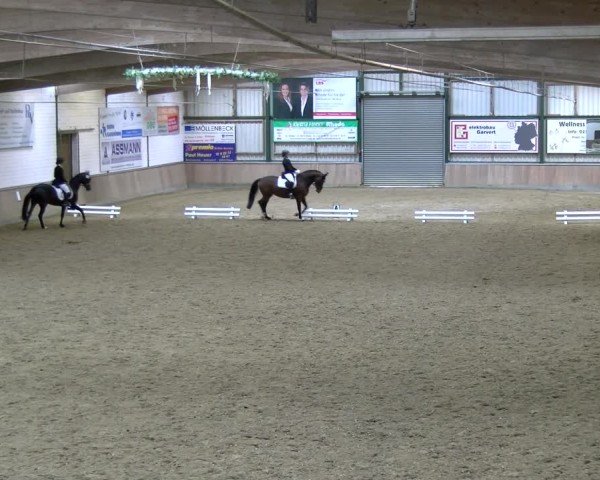Reitturnier Rhede 2025