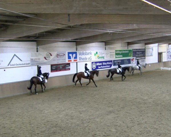 Reitturnier Rhede 2025