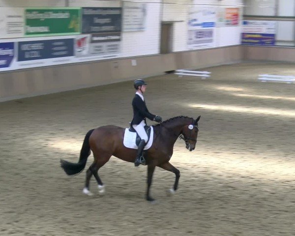 Reitturnier Rhede 2025