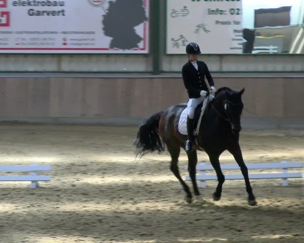Reitturnier Rhede 2025