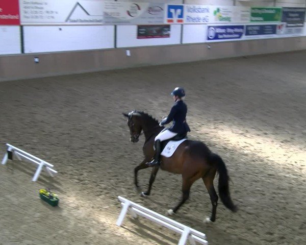 Reitturnier Rhede 2025
