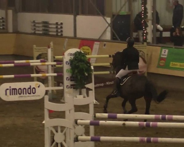 21. Großes Hallen-Springturnier 2013 - Alt Marl