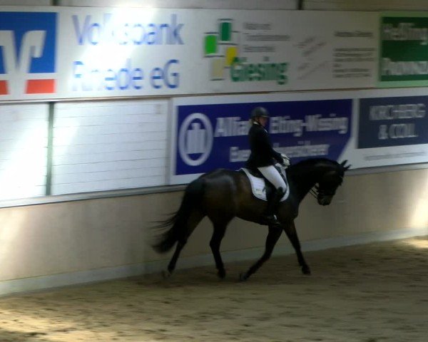 Reitturnier Rhede 2025