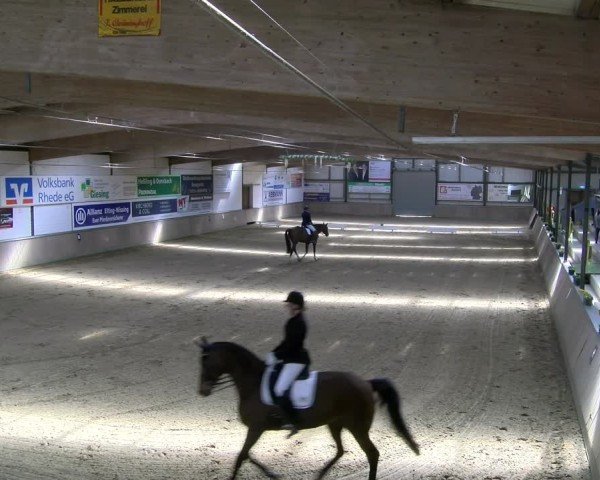 Reitturnier Rhede 2025