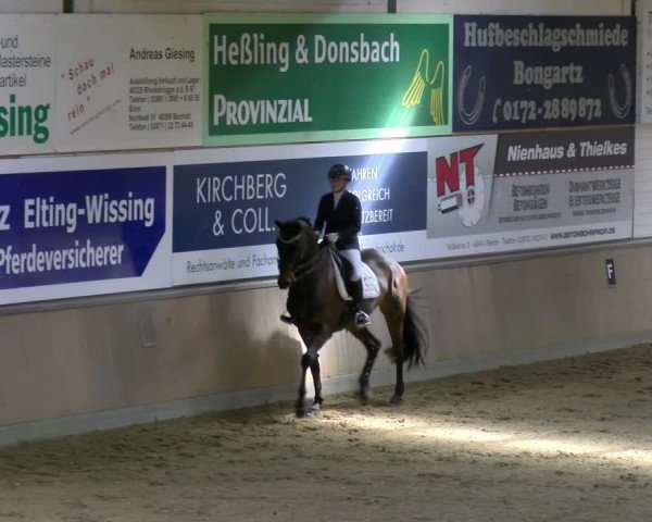 Reitturnier Rhede 2025