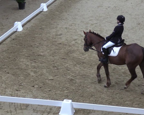 Reitturnier Oelde 2025
