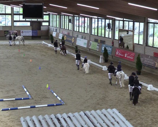 Reitturnier Oelde 2025