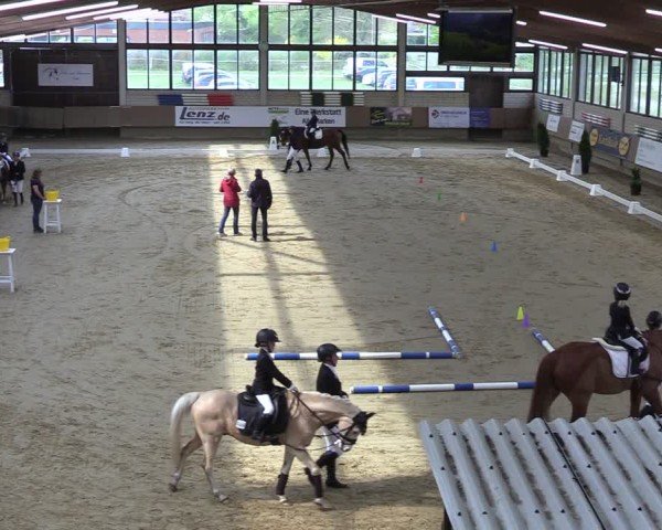 Reitturnier Oelde 2025
