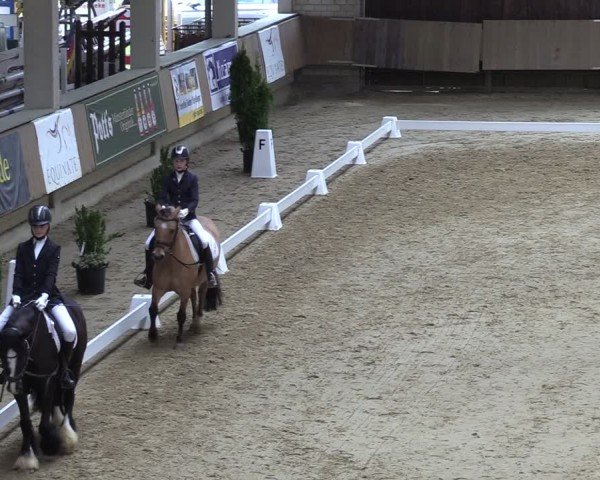 Reitturnier Oelde 2025