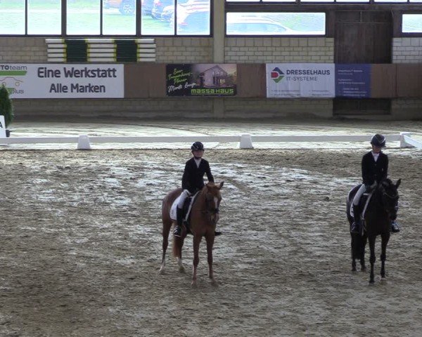 Reitturnier Oelde 2025