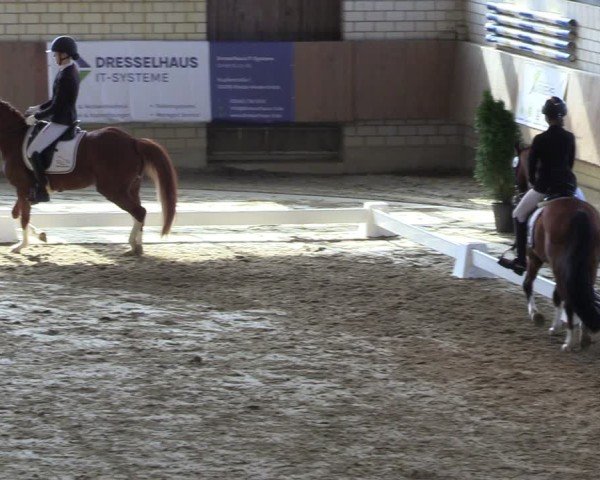 Reitturnier Oelde 2025