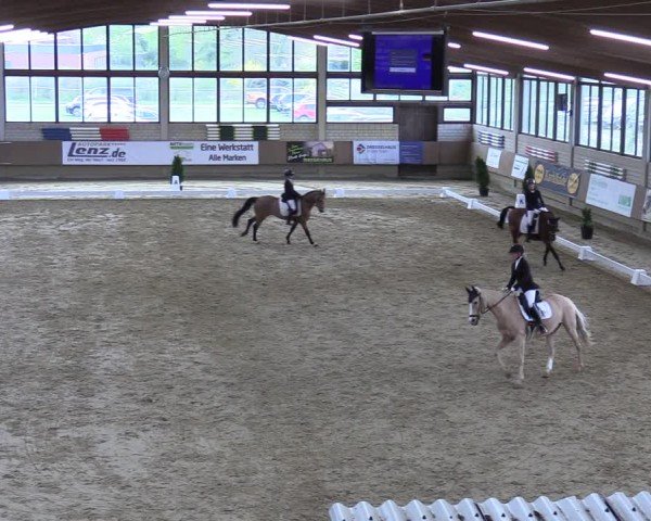 Reitturnier Oelde 2025