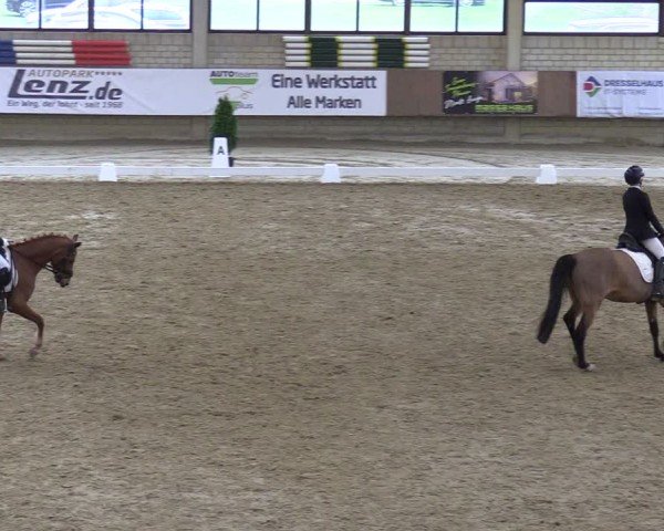 Reitturnier Oelde 2025